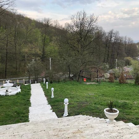 Pensiunea Medeea Otel Pestis Dış mekan fotoğraf