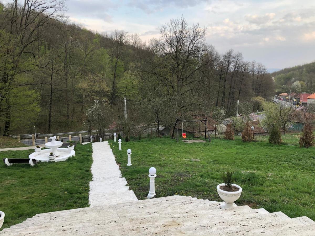 Pensiunea Medeea Otel Pestis Dış mekan fotoğraf